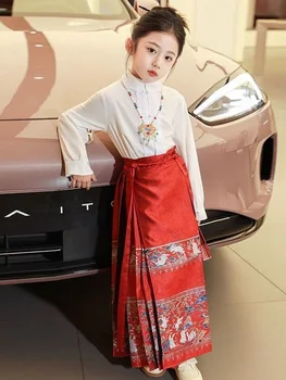 Sarkanā Mamian Hanfu Svārki Vasaras Svārki Meitene Ķīniešu Tradicionālās Apģērbs Mamian Qun Ming Dynasty Hanfu Zirgu Sejas Ming-Svārki